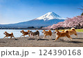 富士山と湖の前に咲く桜の前に集まっている色んな色の柴犬集団 124390168