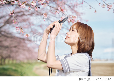 スマホで桜を撮影する女性 スマホで桜を撮影する女性 124390232
