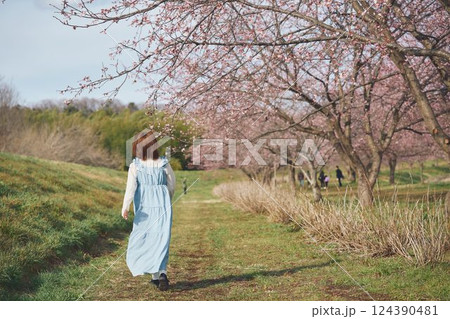桜と若い女性 124390481