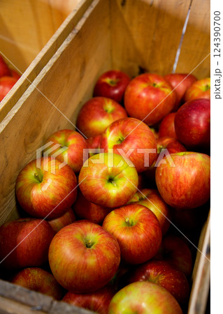 りんご農園17 124390700