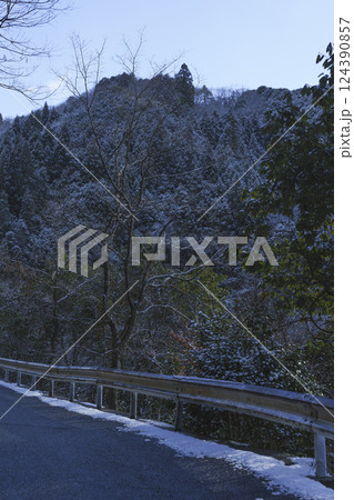 冬、雪に覆われた道路、枯れ木、寂しい風景 冬、雪に覆われた道路、枯れ木、寂しい風景 124390857