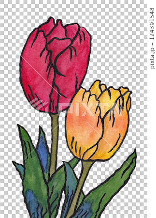 手描きの水彩画(絵手紙)「チューリップ」赤色 黄色 手描きの水彩画(絵手紙)「チューリップ」赤色 黄色 124391548