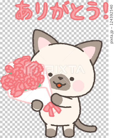 A cat holding a bouquet of carnations 124392540