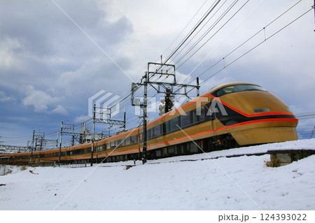 雪景色の築堤を征く… 黄金の豪華特急『スペーシア』100系 雪景色の築堤を征く… 黄金の豪華特急『スペーシア』100系 124393022