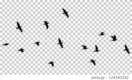 一群飛鳥的輪廓向量插圖 124393282