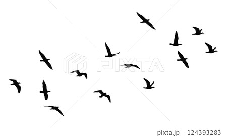 飛ぶ鳥の群れのシルエットベクターイラスト 124393283