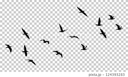 飛ぶ鳥の群れのシルエットベクターイラスト 124393283