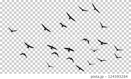一群飛鳥的輪廓向量插圖 124393284