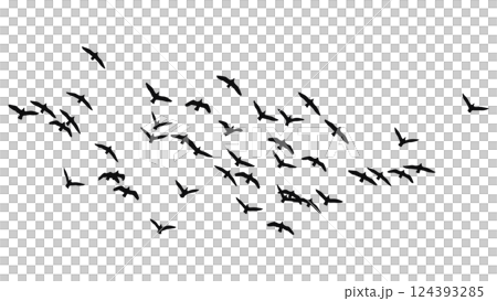 一群飛鳥的輪廓向量插圖 124393285