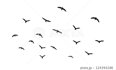 飛ぶ鳥の群れのシルエットベクターイラスト 124393286