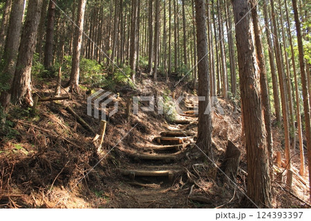 登山道にある階段 124393397