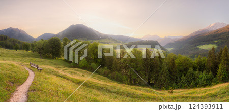 Meadow with road and bench during sunset in Berchtesgaden National Park Meadow with road and bench during sunset in Berchtesgaden National Park 124393911