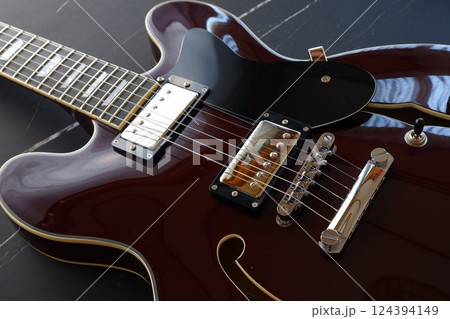 セミホロウ構造が特徴的な、セミアコースティック（セミアコ）タイプのエレキギター 124394149
