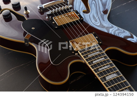セミホロウ構造が特徴的な、セミアコースティック（セミアコ）タイプのエレキギター 124394150