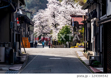 220413中橋桜g158 220413中橋桜g158 124394542