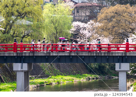 220413中橋桜g175 124394543