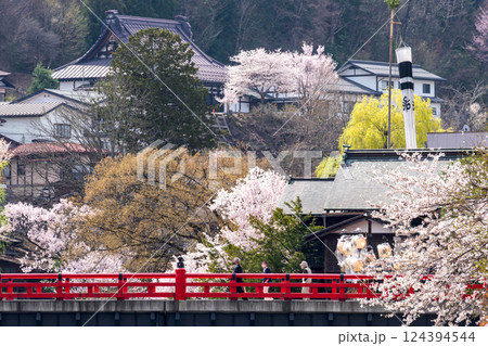 220413中橋桜g178 220413中橋桜g178 124394544