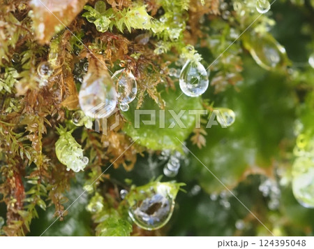 朝の風穴内の雫（20250321072905） 124395048