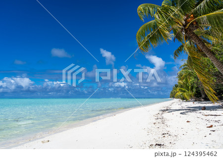 Idyllic white sand beach with coconut trees in Maupiti, French Polynesia 124395462