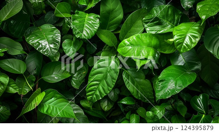 Image of lush green jungle leaves with rich textures, vibrant colors, and intricate natural patterns. 124395879