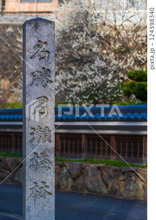 月ヶ瀬梅渓 梅と石碑 奈良県 月ヶ瀬梅渓 梅と石碑 奈良県 124398340