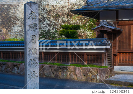 月ヶ瀬梅渓 梅と石碑 奈良県 月ヶ瀬梅渓 梅と石碑 奈良県 124398341