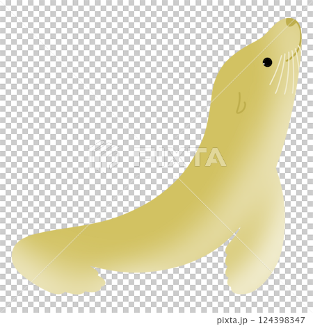 Cute sea lion 124398347