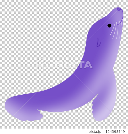 Cute sea lion 124398349