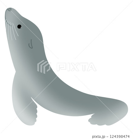 かわいいアシカ 124398474