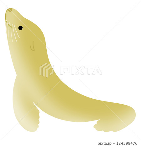 かわいいアシカ かわいいアシカ 124398476