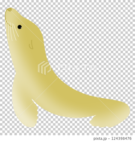 かわいいアシカ かわいいアシカ 124398476