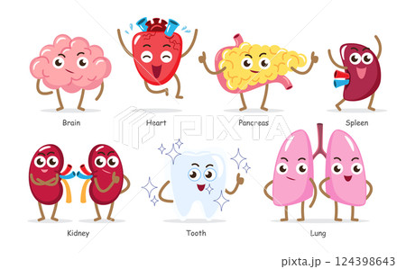 Human internal organs . Set of funny medical cartoon characters . Include brain, heart, pancreas, spleen, kidney, tooth, lung . Isolated white background . Vector . Human internal organs . Set of funny medical cartoon characters . Include brain, heart, pancreas, spleen, kidney, tooth, lung . Isolated white background . Vector . 124398643