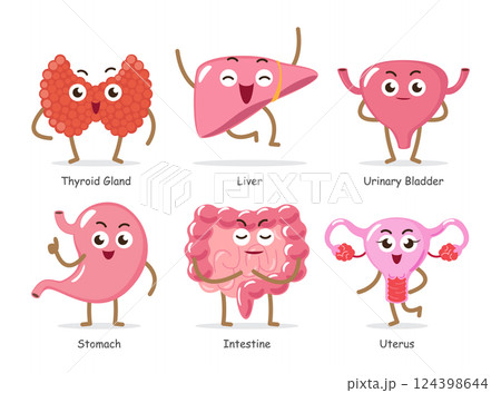 Human internal organs . Set of funny medical cartoon characters . Include thyroid gland, liver, urinary bladder, stomach, intestine, uterus . Isolated white background . Vector . Human internal organs . Set of funny medical cartoon characters . Include thyroid gland, liver, urinary bladder, stomach, intestine, uterus . Isolated white background . Vector . 124398644