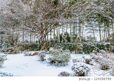 京都大原 雪の宝泉院 盤桓園 京都大原 雪の宝泉院 盤桓園 124398799