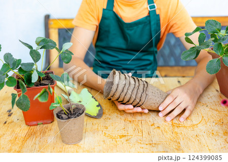 Young gardener in an apron holding biodegradable seedling pots, preparing for planting strawberries. Eco-friendly gardening concept. 124399085