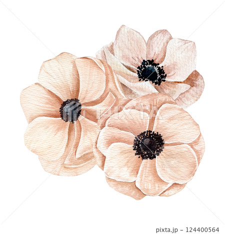 Watercolor hand drawn composition with different of peachy pink anemones in blossoming flowers. 124400564