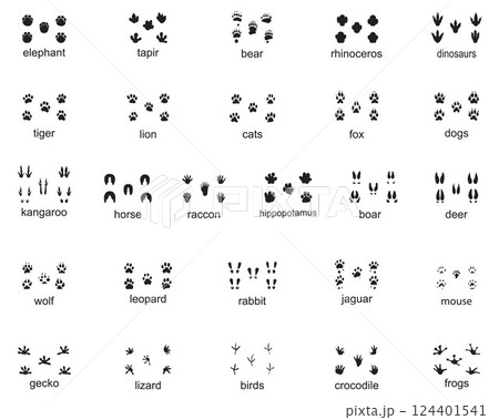 Set of wild animal footprints, illustration of black silhouettes Set of wild animal footprints, illustration of black silhouettes 124401541