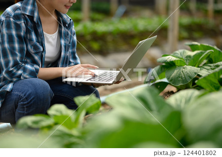 Female farmer using laptop among leafy crops in a greenhouse. Smart farming and agricultural research concept Female farmer using laptop among leafy crops in a greenhouse. Smart farming and agricultural research concept 124401802
