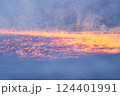 岡山後楽園　芝焼き 124401991