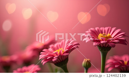 Soft Pink Daisies in Dreamy Sunlight Garden 124402139