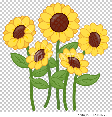 vector set of sunflower 124402729