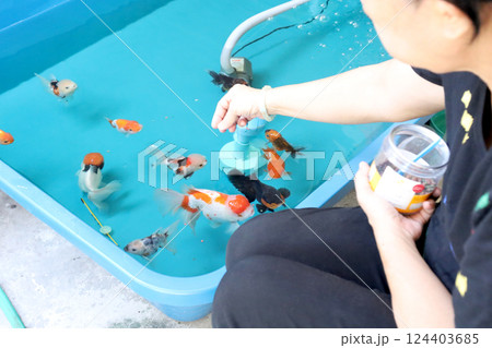 Group of Goldfish Group of Goldfish 124403685