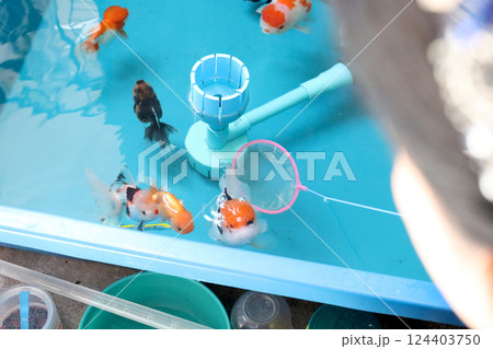 Group of Goldfish 124403750