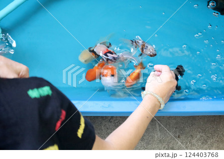 Group of Goldfish 124403768