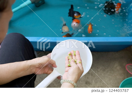 Group of Goldfish 124403787