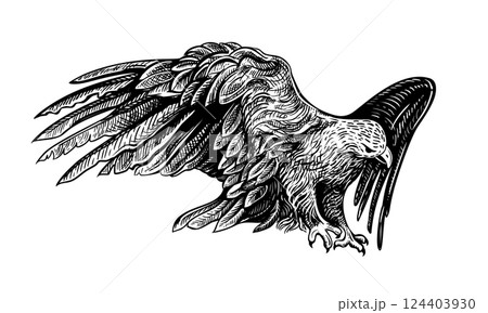 Eagel hand drawn sketch 4 124403930