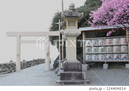 二見興玉神社と陽光桜 124404014