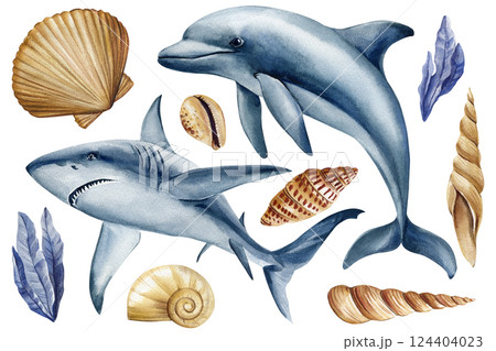 Watercolor dolphin, shark, sea shells set. Marine life illustration for ocean design decor, poster, clipart hand painted Watercolor dolphin, shark, sea shells set. Marine life illustration for ocean design decor, poster, clipart hand painted 124404023