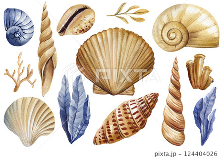 Watercolor seashells, ocean elements set with seaweed, coral and spiral shells in natural beige and blue colors Clipart Watercolor seashells, ocean elements set with seaweed, coral and spiral shells in natural beige and blue colors Clipart 124404026