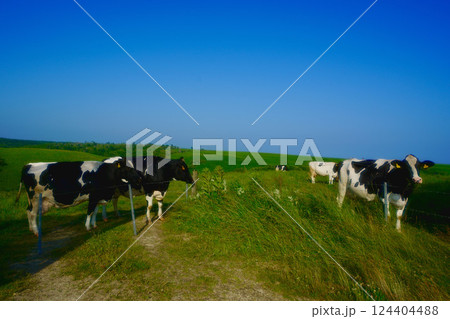 北海道 北海道 124404488